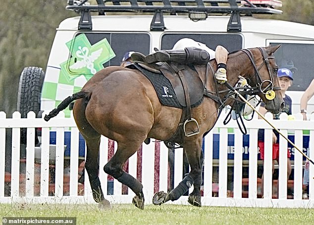 Figueras was almost thrown from his horse during the polo match, but managed to stay upright