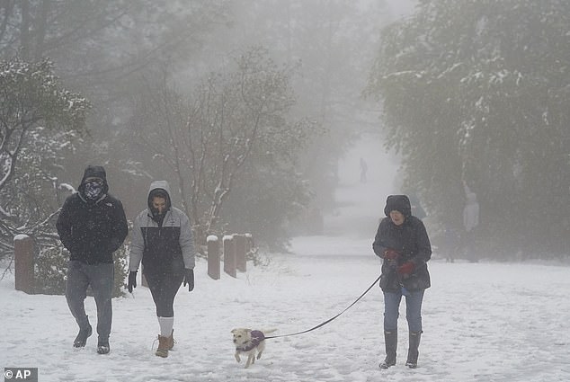 The polar vortex could sweep across the Pacific Northwest and roll into the central and midwest parts of the country over the next five to 10 days.  Pictured: Snow conditions in Walnut Creek, California, in February 2023