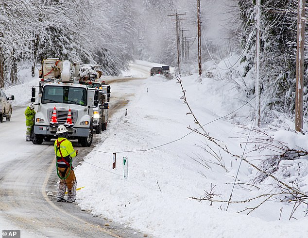 More precipitation is also expected, which could increase the chance of snowfall.  Pictured: Snow in Skyomish, Washington, in January 2020