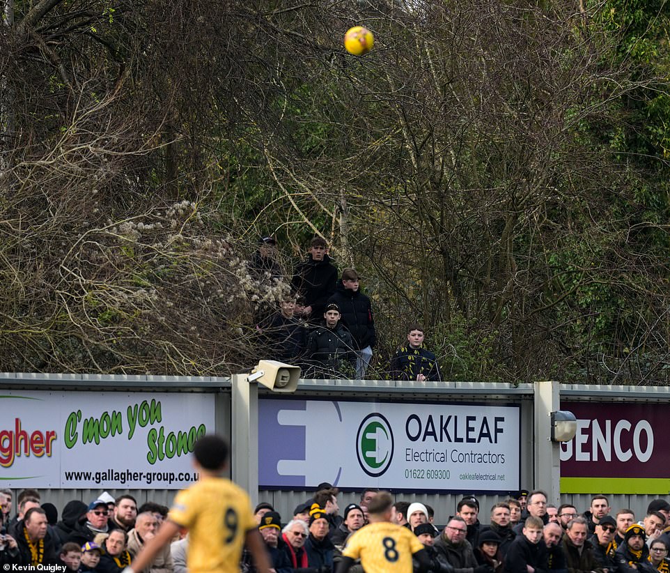 Unable to gain access to the ground, some supporters were able to watch the Badger from a vantage point nestled in some trees