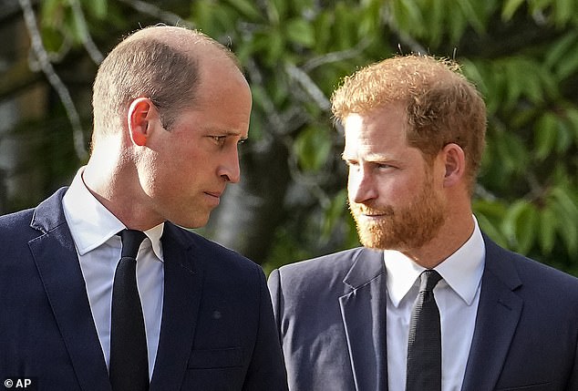 Prince William and Prince Harry still haven't resolved their differences.  They are pictured after seeing floral tributes for the late Queen Elizabeth II outside Windsor Castle in 2022