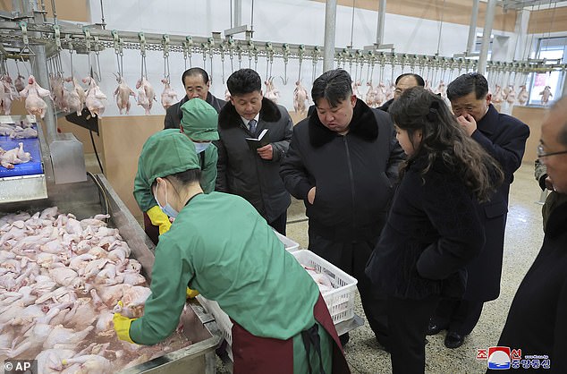 The father and daughter watched as workers handled chicken carcasses as they visited the farm