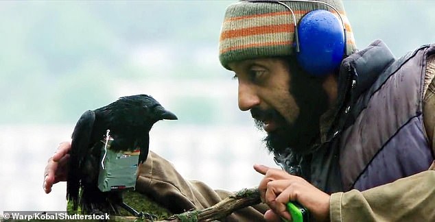 In Four Lions, Akhtar plays the role of a homegrown terrorist who plans to become a suicide bomber