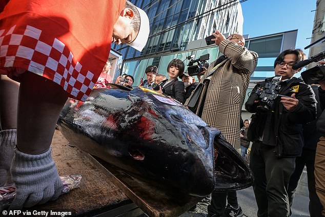 The most expensive piece of seafood at the Japanese capital's fish market was bought by wholesaler Yamayuki and sushi chain Onodera for almost $800,000.  This means that they have now been buying the most expensive fish on the market for four years in a row.