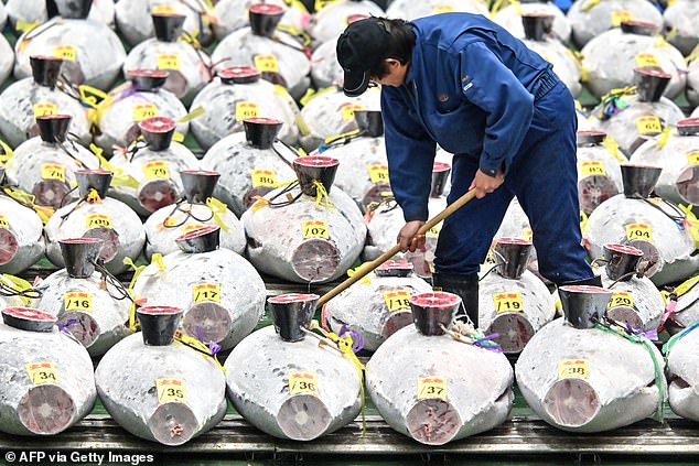 A worker cleans the frozen tuna on display as wholesalers and buyers attend the first tuna auction of 2024 in Tokyo