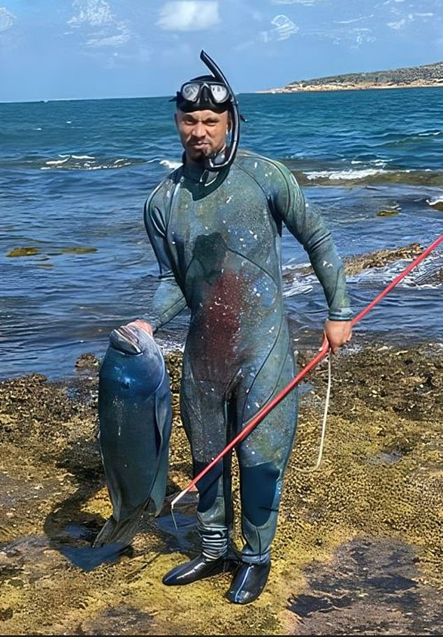 David Ireland says the big blue wrasse illegally killed at a Sydney dive site (pictured) wasn't the famous Gus that locals feared