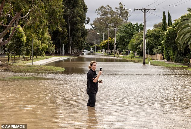 Flooding in some areas could last up to five days, with levels at Seymour (above) expected to be higher than in 1993