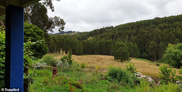 Radial Timbers owner Chris McEvoy told Daily Mail Australia the quarry proposal had been in the works for three years and was 