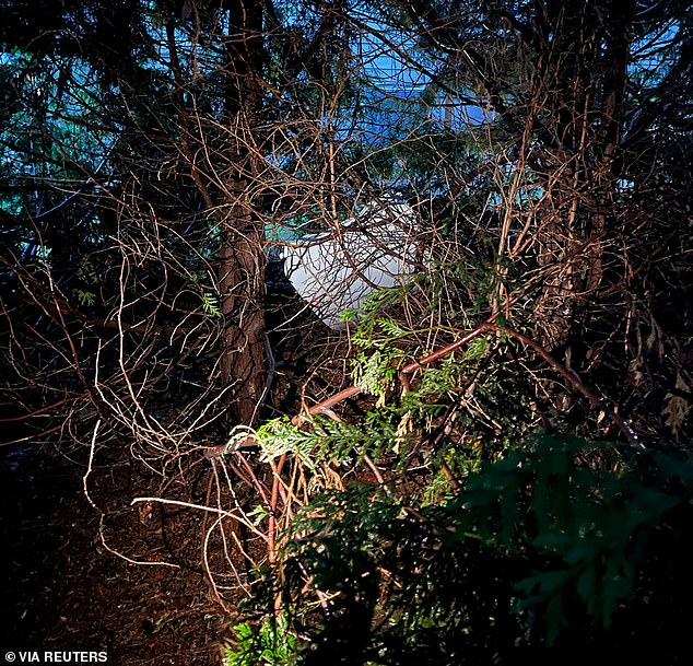 The National Transportation Safety Board recovered the door in the backyard of a suburban Portland home on Sunday