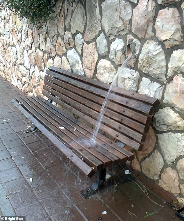 Watch out for the water!  The collection of images included a photo of a bench placed just below a water pipe