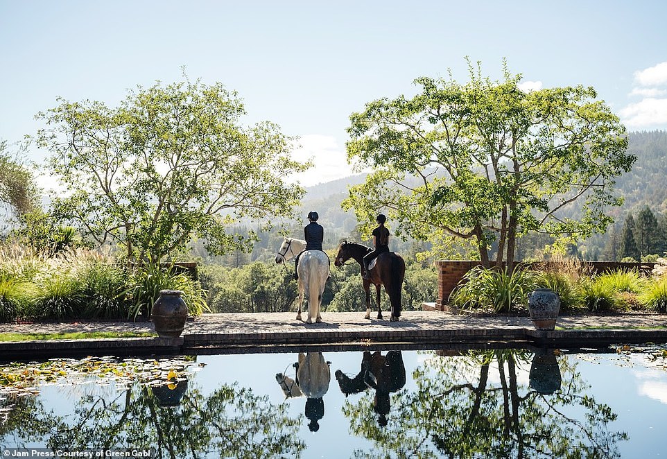 For novice riders, Green Gables has a stable and tack room, as well as three horses