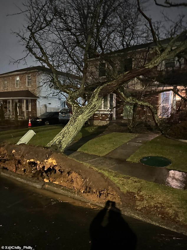 A tree was uprooted on Staten Island Tuesday evening amid high winds.  A wind gust warning remains in effect until Wednesday morning