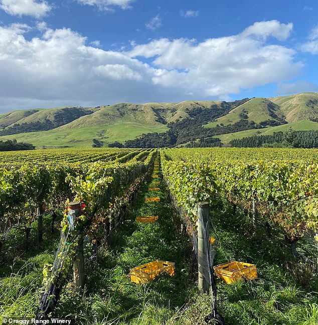 Craggy Range is said to be working around the clock to prevent Ardern's site from leaking