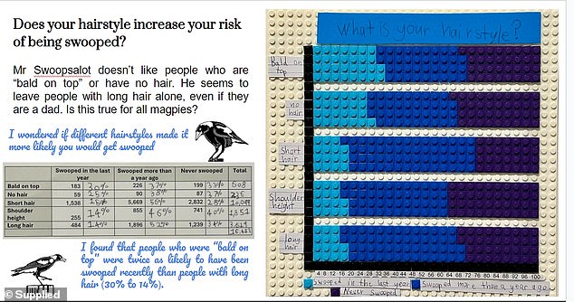 Magpies more often target men with balding heads, Emma concluded in the research she did with Lego for her graphs