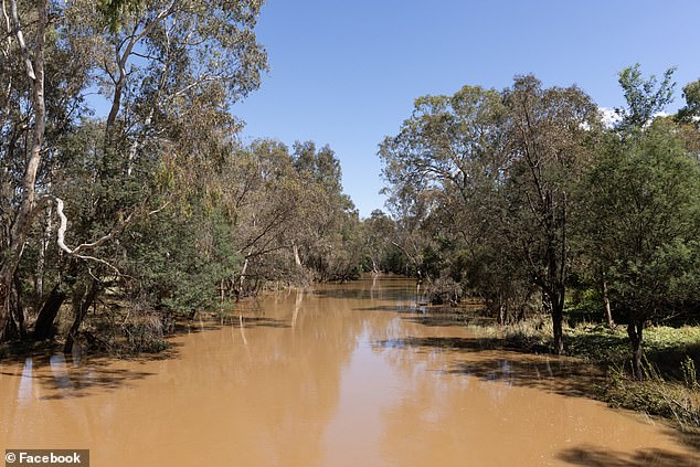 Watch and Act warnings were issued to areas around Loddon River, Bendigo and Bullock Creeks, and the Goulburn River between Shepparton, Seymour and Murchison (pictured, Yea River)