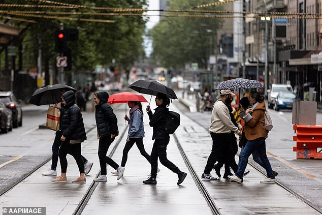 According to the Bureau of Meteorology, a total of 96mm of rain fell in the Flood Watch areas (stock image)