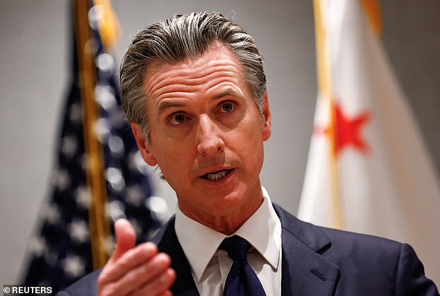 The Democrat, 56, on Wednesday released details of California's new $291 billion state spending plan for the 2024-2025 budget year.