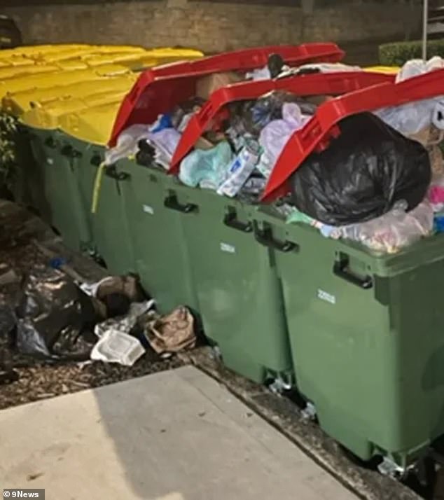 The council, which reduced general household waste collections to once a fortnight, says the move has been a disaster, leaving bins overflowing with rubbish (pictured)