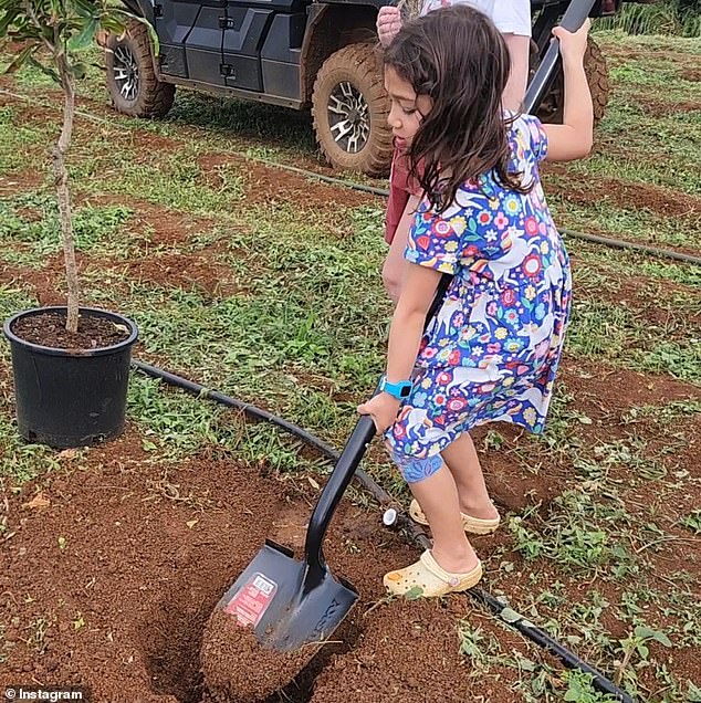 Zuckerberg and his wife Priscilla Chan have three daughters: seven-year-old Maxima;  five-year-old August and baby Aurelia, born in March 2023. The Facebook founder shared a photo of one of his daughters hard at work on the farm