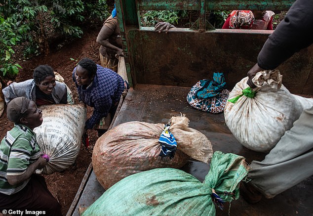 In 2020, it was revealed that children as young as eight were picking coffee beans on farms that supply Starbucks