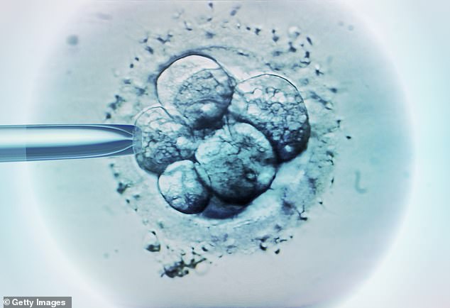 Academics at the University of California San Diego have now developed a new non-invasive technique that can assess the quality of lab-grown embryos.  Currently, fertility doctors usually have to carefully analyze embryos to pick out those with the best chance of success.  This may involve taking biopsies or visually assessing them, both of which can be problematic.  The new technology, although still in its infancy, avoids interference with the 'delicate process'