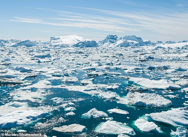 On its website, the company calls it the 'purest ice in the world', 'exquisitely sourced from the pristine glaciers of Greenland' (archive photo)