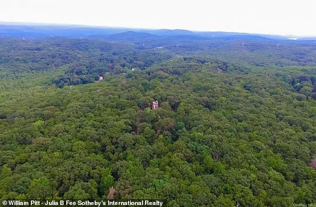 The house was first sold in the early 1940s and stood empty for many years after World War II.  It became a target for vandalism, with intruders pouring paint on marble floors and setting fire to rooms