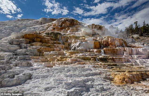 The James Bond star is said to have ventured off the permitted path and entered the 'delicate' and dangerous hot springs of Mammoth Terraces