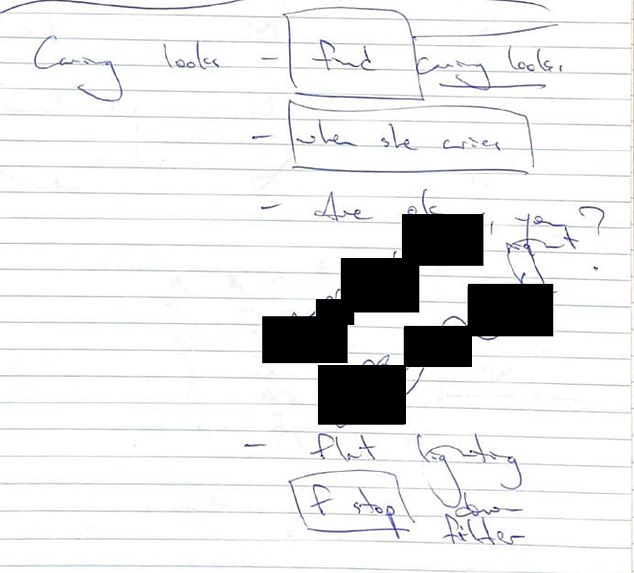 Angus Llewellyn's notes from the time, also released by the court, show him reminding himself to 'Look for caring looks...' with 'when she cries' circled