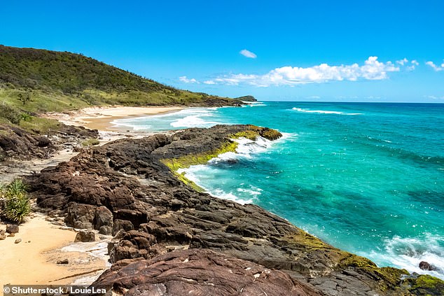 Tourists have witnessed a spate of dingo attacks on the scenic island in recent months