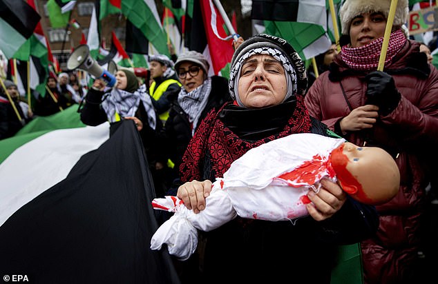 Pro-Palestinian sympathizers protest during the hearing at the International Court of Justice (ICJ) on a genocide complaint from South Africa