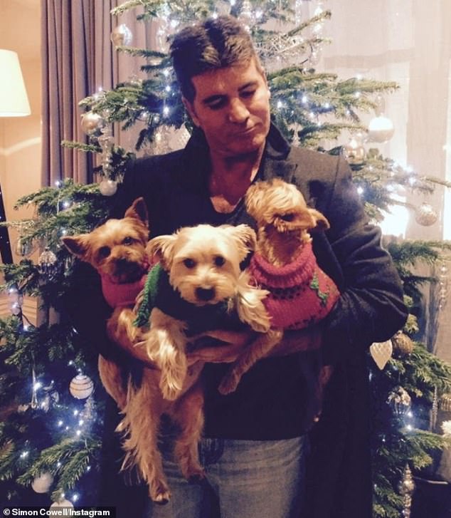 Pebbles is Simon's fifth dog, after already being a proud dog owner of the Yorkshire terriers Squiddly and Diddly and of his late mother's dog, Freddy and Daisy, which he adopted in Barbados (not pictured)