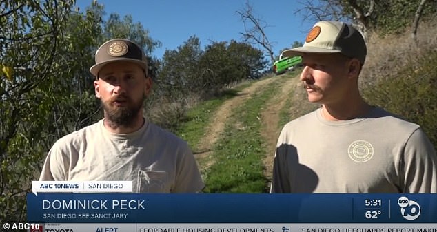 Dominic Peck, who works at the shelter, told ABC10: 'We suspect foul play because all nearby orchards have not reported the use of fipronil and there was no positioning in the nearby apiaries.