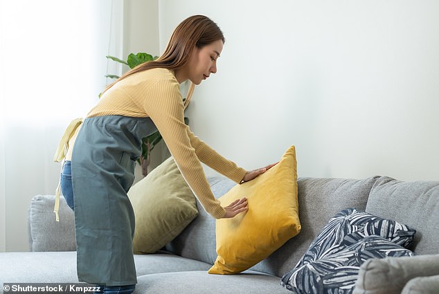 The best way to keep levels low is to vacuum and wash your pet regularly