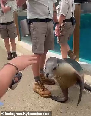 Otto sat on Kyle's lap and enjoyed the sea animal show as they came face to face with an exuberant seal