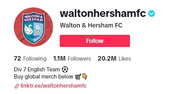 Walton and Hersham FC have built their TikTok following to a whopping 1.1 million people, with the seven young owners helping to drive exponential growth off the pitch