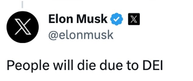 Following the incident, some public figures, including Elon Musk, suggested that diversity, equity and inclusion initiatives may be responsible for jeopardizing safety in the aviation sector.