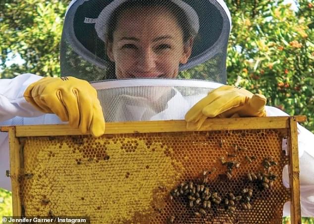 Jennifer Garner has had seven beehives in her LA home since 2017, which she cares for with her three children