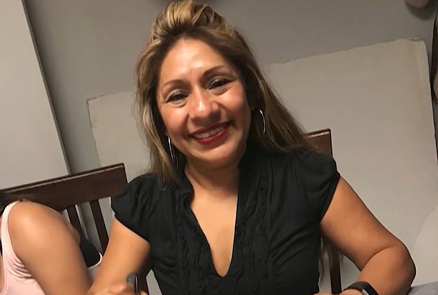 Adriana Sanchez, 50, was walking her two dogs in the Los Angeles city of North Hills around 6 a.m. when the vehicle struck them in the marked crosswalk before they fled the scene.