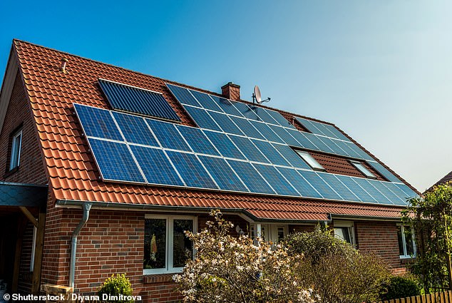 An estimated 10,000 households will have access to the 'tanning beds' scheme, which government estimates could save up to $600 a year on energy bills.  The photo shows solar panels