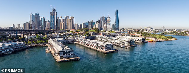 Lima Nikkei Restaurant & Bar, in the wealthy Dawes Point harbor district of Sydney's CBD, opened in October 2023 to huge hype