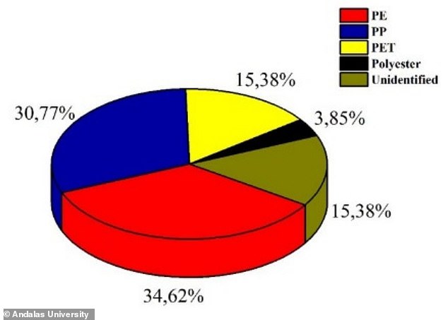 The study also identified four types of polymers: polyethylene (34.62 percent), polypropylene (30.77 percent), polyethylene terephthalate (15.38 percent) and polyester (3.85 percent).