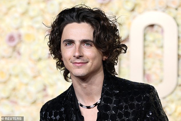 Other social media users were quick to comment on the man's resemblance to Hollywood star Timothee Chalamet, pictured on January 7 in Los Angeles at the Golden Globe Awards.