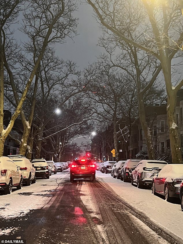 Brooklyn, New York, is pictured in snow Tuesday morning as an arctic freeze hits the US