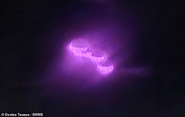 A close-up of the purple 'UFO'.  Denise said: 'At first we thought it might be a reflection of our pink uniform, but in the video you can see the movement – ​​you can see it's flying.'