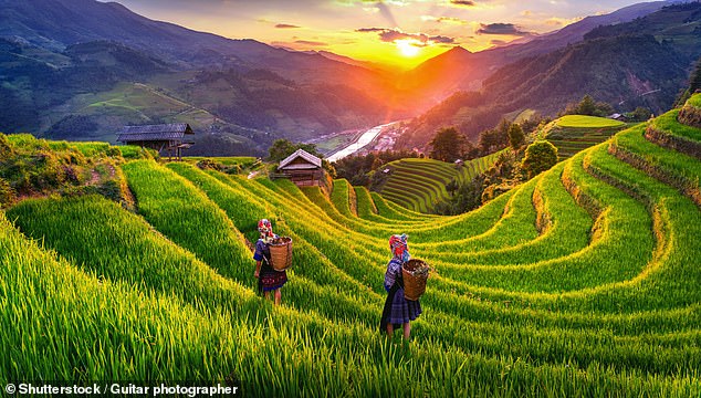 Travelers can also take a trip to Vietnam (pictured) and several other Asian countries, including South Korea