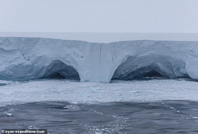 Previous expeditions have already visited the iceberg, which will eventually melt away into nothingness