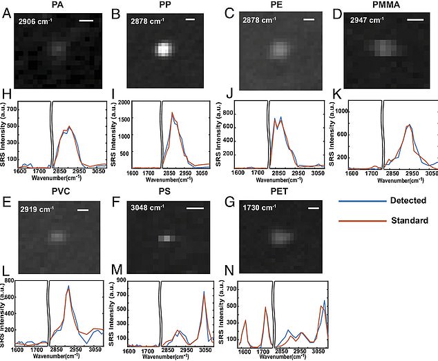 Researchers identified the three most important nanoparticles: polyethylene terephthalate, polyamide and polystyrene