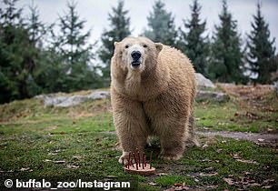 Her last social media post prior to the video was a clip of her promoting International Polar Bear Day last year