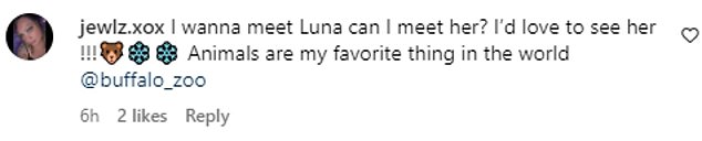 Social media users are loving the video and hope to meet Luna at the zoo one day